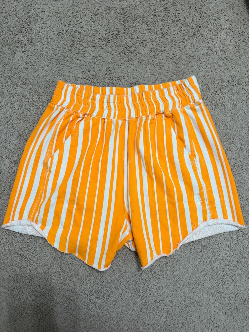 FP Movement by Free People Newport Stripe All Star Printed Shorts Size L